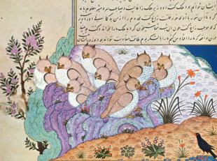 صفحة من كتاب كليلة ودمنة، باب البوم والغراب - مجموعة سراي طوپ قاپي صفحة 66 الوجه العكسي. رسمت في هراة حوالي سنة 1430م