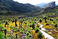 Image 6Rwenzori mountains in Uganda (from Uganda)