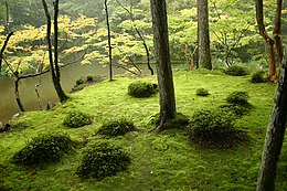 Mostuin bij de Saihō-ji-tempel in Kioto. Deze tuin bestaat al sinds 1339.