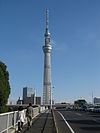 Ground-level view of a tall, slender, gray structure