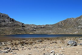 Páramo en el Parque nacional Sierra Nevada.