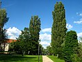 auf der Freundschaftsinsel in Potsdam