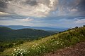 * Nomination View of hills and surrounding area from path to Šiljak on mountain Rtanj --Nino Verde 09:22, 15 August 2024 (UTC) * Promotion Very nice image. Did you need to crop in here significantly? --Augustgeyler 09:38, 15 August 2024 (UTC) Yep. It is 24mm and if i go a bit back there will be lot of visual trash in foreground. --Nino Verde 09:50, 15 August 2024 (UTC)  Support It is QI. But I would suggest less intence cropping and instead getting closer or changing lenses. --Augustgeyler 09:30, 17 August 2024 (UTC)