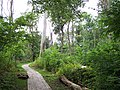 Dalby Söderskog Parke Nazionala.