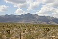 Mormon Mountains in southeast Nevada on May 26, 2008