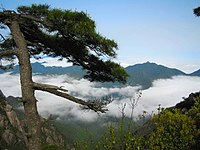 Nationalpark Mount Sanqingshan