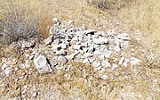 Grave of one of the November 5, 1871, Wickenburg Massacre victims.