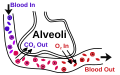 Versiyona biçûkkirî yê 22:38, 29 adar 2007