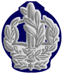 IDF RASAM Avir.png