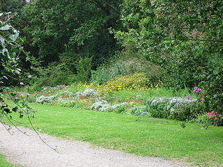 Flowering border