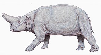 Reconstitution de Arsinoitherium zitteli (Embrithopoda)