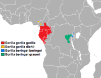 Área de distribución do Gorilla gorilla gorilla (en cor amarela).