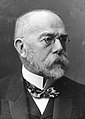 Robert Koch, physician and microbiologist, discoverer of anthrax, tuberculosis and cholera bacillus