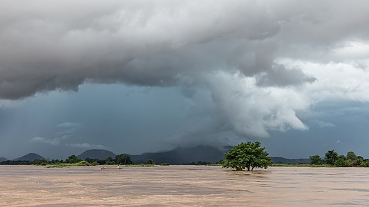 "Submerged_tree_under_a_dark_and_cloudy_sky_in_Si_Phan_Don.jpg" by User:Basile Morin