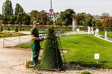 Стрижка живої огорожі у віденському палаці Бельведер