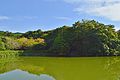 奈良県天理市 櫛山古墳（152m）