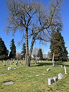 Lake View Cemetery