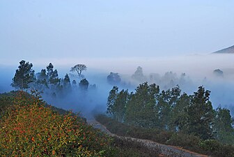 Araku ghat road, Araku Valley Photographer: Dr.Ashok Kolluru