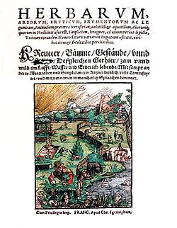 Herbarum, arborum, fruticum, frumentorum ac leguminem" verko publikigita en 1546