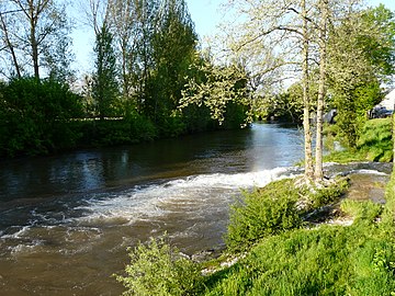 Le Coly sur la droite se jette dans la Vézère par une cascade.