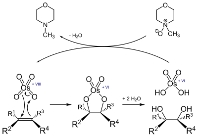 Reaktion eines Alkens mit Osmiumtetroxid