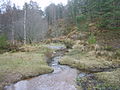 Typical view of the Vat Burn in its Lower Course