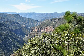 Die Sierra Madre Occidental in der Nähe der Kupferschlucht