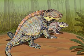 Реконструкция Sphenacodon