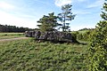 Dolmen de Peyrelevade