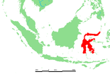 Sulawesi