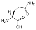 L-Glutamin (Gln / Q)