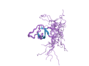 2dbk: Solution structures of the SH3 domain of human Crk-like protein