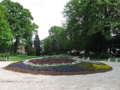 Un coin du bois des Berceaux.