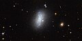 Dwarf irregular galaxy known as PGC 18431.[၁၀]