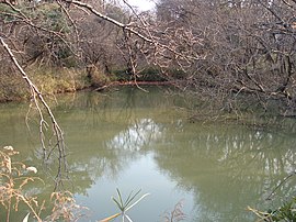 柳沢の池公園