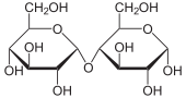 Struktur von Maltose