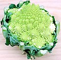 Romanesco broccoli (a cauliflower cultivar)