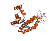 2c9y: STRUCTURE OF HUMAN ADENYLATE KINASE 2