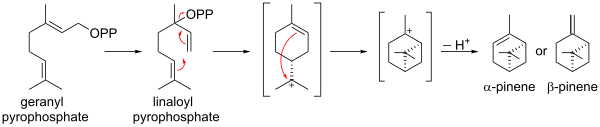 Biosynthesis of pinene from geranyl pyrophosphate