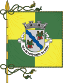 Bandeira de {{{município}}}