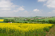 Blick auf Warburger Landschaft