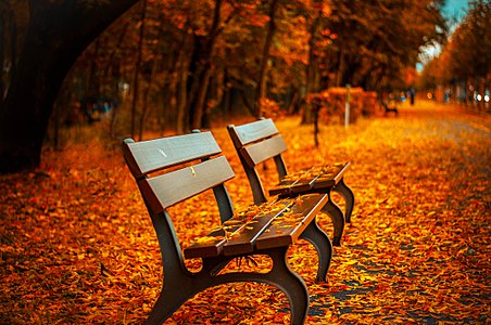 Park bench