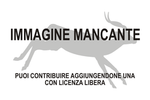 Immagine di Hexaprotodon namadicus mancante