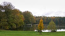 Der große Secker Weiher