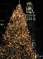 Christmas Tree and Custom Tower