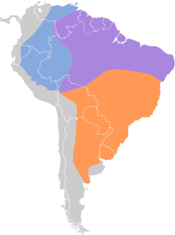 Distribución geográfica del copetón de Swainson.