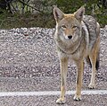 2014年9月24日 (水) 16:50時点における版のサムネイル