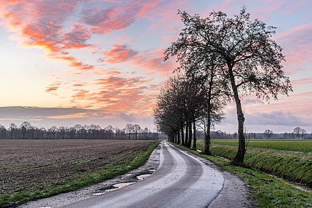 "Dülmen,_Merfeld,_Feldweg_am_Mühlenbach_--_2021_--_4278-80.jpg" by User:XRay