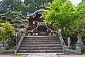 敦賀郡 天八百万比咩神社 （論社の常宮神社）