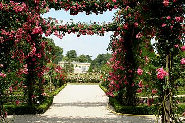 バガテル庭園内のバガテル・バラ園。前方からバラの木、古典的バラ園、オランジュリー (La roseraie classique avec, au premier plan, un rosier-liane American Pillar et à l'arrière-plan, l'orangerie.)